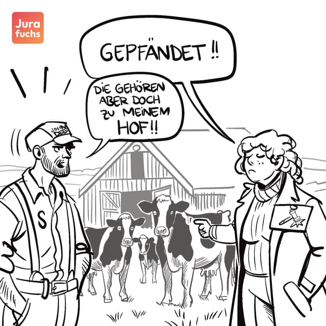 Jurafuchs