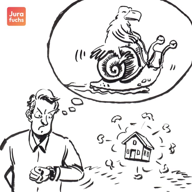 Jurafuchs