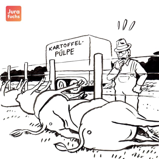 Jurafuchs Illustration zum Kartoffelpülpe-Fall (BGH, 20.11.1984): Ein Landwirt verfüttert "Kartoffelpülpe" in großen Mengen an seine Bullen, woraufhin ein Großteil verendet.